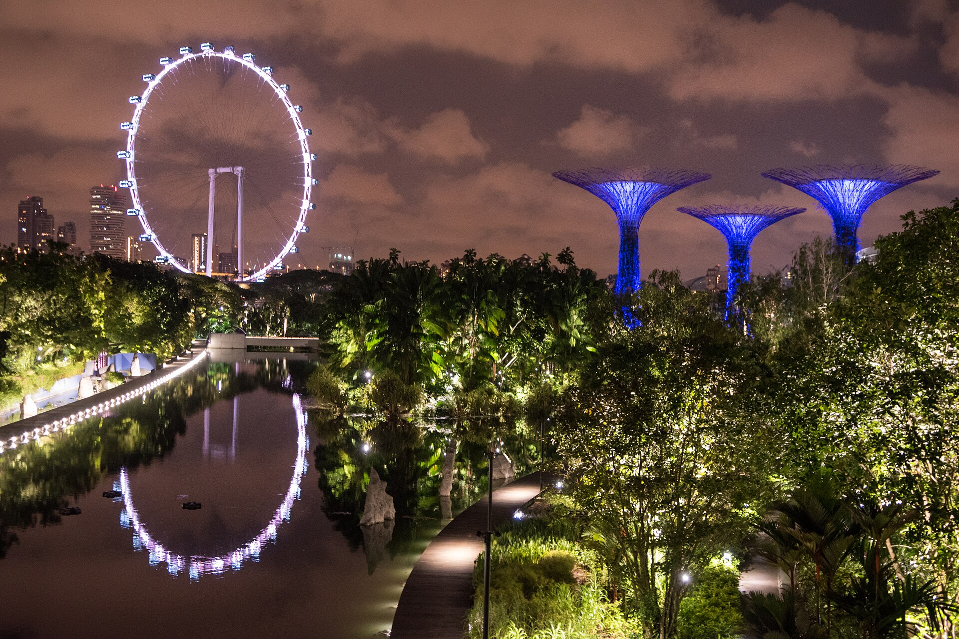 Singapore skyline and Supertrees after dark
