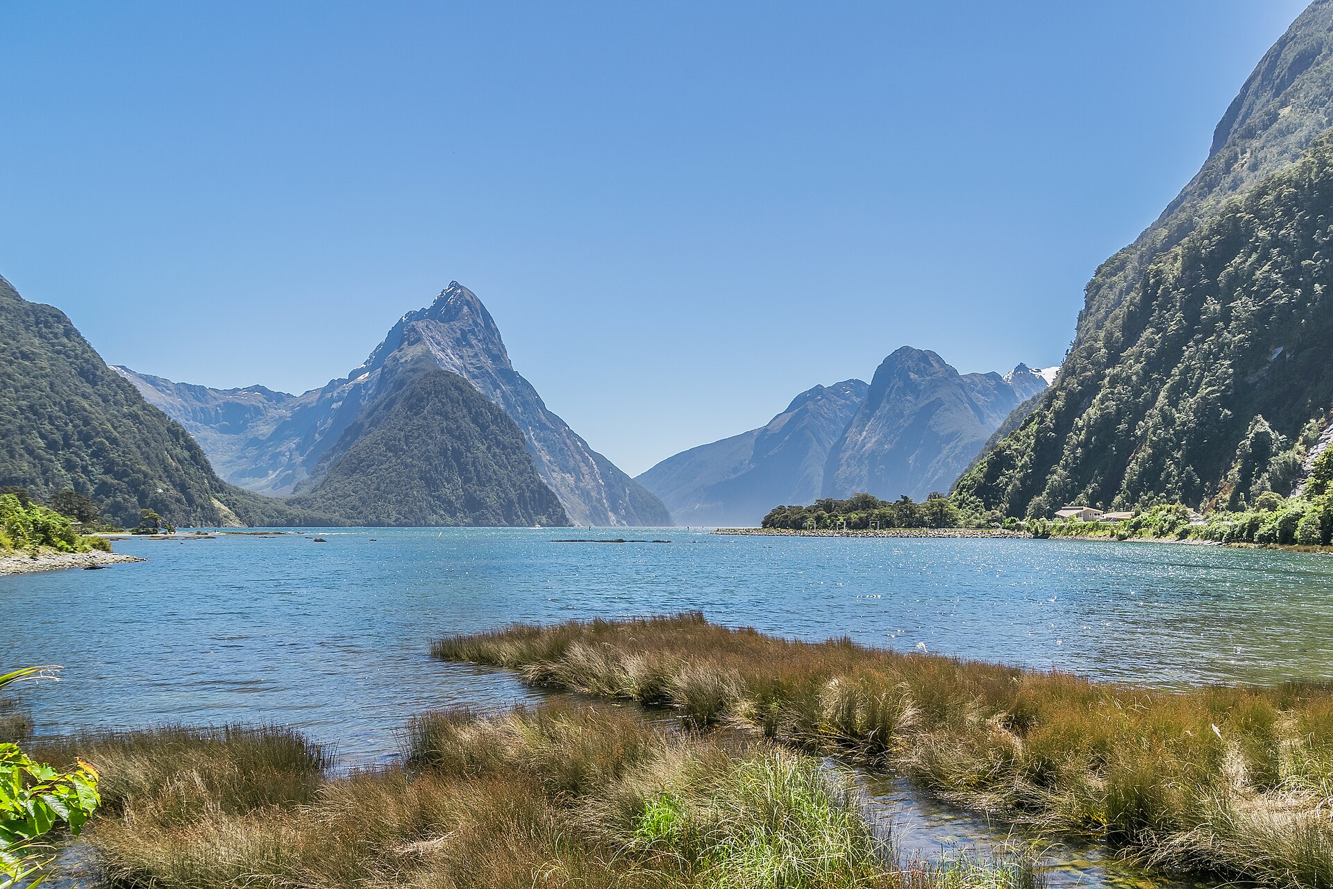 Milford Sound in Fiordland